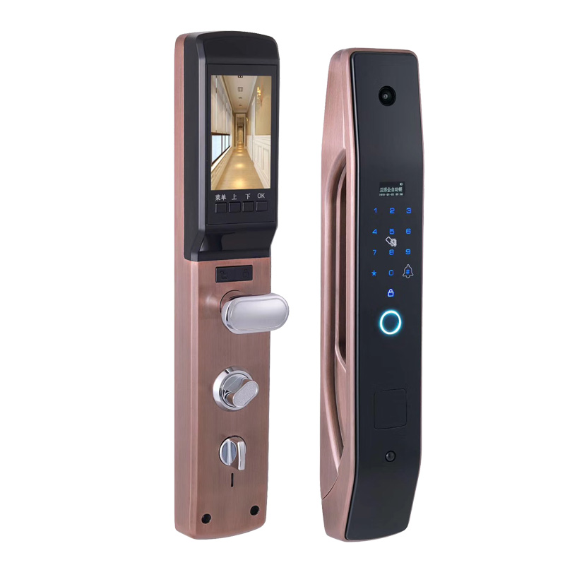 HanDaily Easy to Install Intel - Smart Home Door Lock review and price