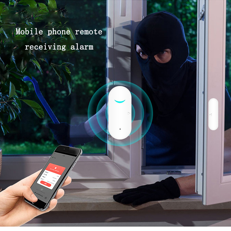 Window Garage Wireless Sensor  - Wireless Door Sensor review and price